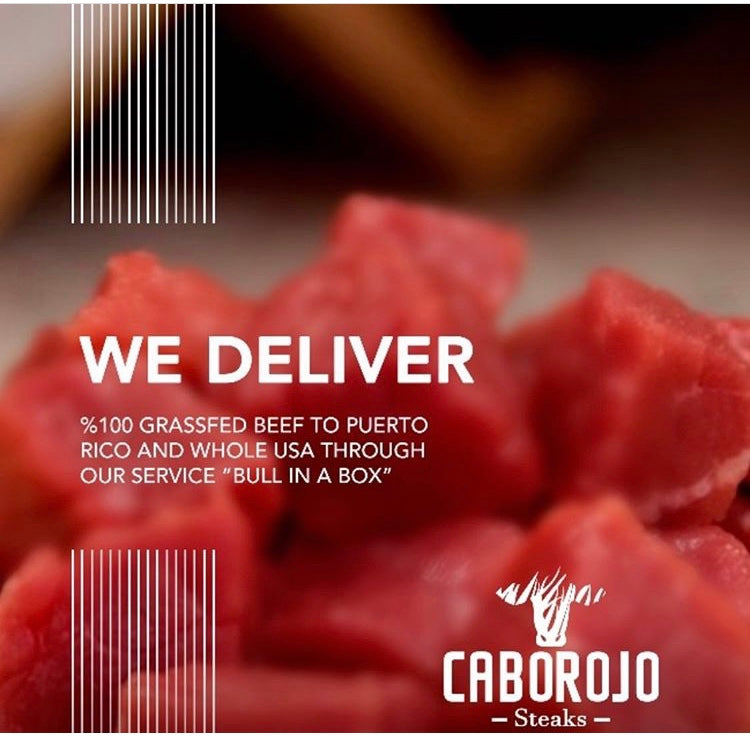 Medio Toro - Half a bull image 2